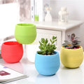 Creative Colorful Cartoon Plastic Flowerpot Succulent Plant Pot Round Mini Lazy Flower Pot