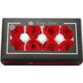 Grade B Real Preserved Rose Flower M Size 4 to 5 cm Big Rose Head Eternal Roses for Valentine Gift Making