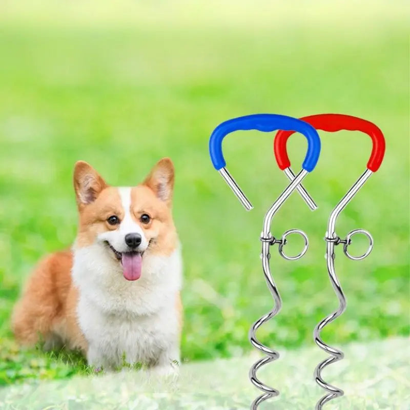 Tether Your Pet Safely: Outdoor Dog Leashes for Peace of Mind