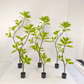 Trunk Removable Plastic Rubber Ficus Plant Tree Decoration Artificial Oak Tree for Home and Garden Decorations Plant Artificial