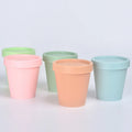 Cosmetic Body Butter Containers 50g 100g 200g 250g 8oz Fancy Lid Liner Spatula Screw Top Plastic PP Sugar Body Butter Containers