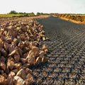 Plastic HDPE PP Biaxial Geogrid for Soil Stabilization Reinforced Road & Slope Construction Retaining Wall Applications