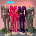 Wholesale 2026 Lady Velvet Sweat Suit Custom logo Zip Hoodie Joggers Women Two Piece Pants Velour Set