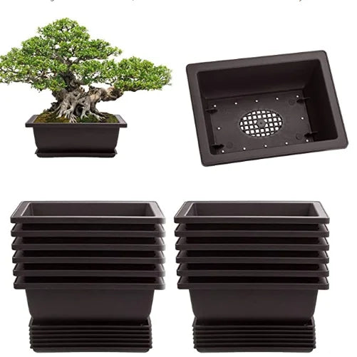 240 Pack Bonsai Pots Bonsai Tree Pots with Trays-Built in Mesh Six Inch Large Planters Durable Shatter Proof Poly