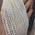 3A White Freshwater Rice Pearls 2-10mm Natural Loose Pearls for Western Romantic Style Necklaces