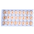 ZanTe Wholesale 21 Pcs Box Order Grade AA 2 - 3 cm Preserved Real Natural Long Lasting Eternity Austin Roses Flowers