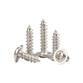 Stainless Steel Carbon OEM ODM Metric Self Tapping Screws for Plastic Phillips Pan Round Head Collar Pad Pointed Tail