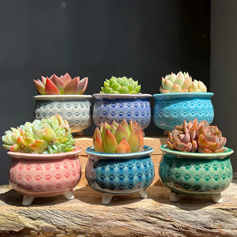 MSH Succulent Flower Pot Ceramic Ice Crack Cat Claws Desktop Green Planter