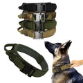 Wholesale Nylon Tactical Dog Collar Large Mental Buckle Design Solid Color Ribbons Training Essentials