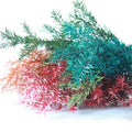 Most Popular Real Touch Dried Preserved Foliage Flower Melaleuca Bracteata for Valentine's Day Home Decor