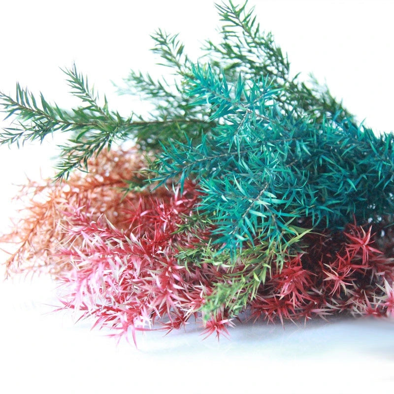Most Popular Real Touch Dried Preserved Foliage Flower Melaleuca Bracteata for Valentine's Day Home Decor