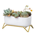 NEW Ceramic Oval Shaped White Plant Pot Air Plant Pot Cactus Faux Plants Window Box Containers for Office Windowsill Decor