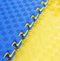Academy Lightweight Waterproof Eco-Friendly EVA Foam Tatami Mat for Gym Red/Blue Taekwondo Martial Arts Flooring Customizable