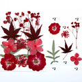Art Crafts Mini Flower Jewelry Nail Stickers Phone Case Resin Natural Real Dried Pressed Flower for Decor