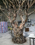 Superb Large Durable Fiberglass Artificial Olive Tree for Wedding Home Decor and Supermarkets Decoration