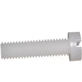 Plastic Slotted Cheese Head Screw PTFE Screw Plastic Bolt Plastic Screw and Nut