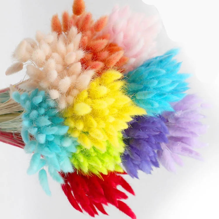 Material Dried Flowers Rabbit Tail Grass Bouquets Bunny Tails for Flower Decoration