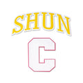Colorful Rainbow Alphabet Embroidered Shadow Patches Chenille Fabric for Adhesive Ironable Application on Hats or Clothing