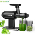 For 160W 80RPM Plastic Housing Electric Household Masticating Slow Juicer Fruit Vegetable Juice Extractor Compact Cold
