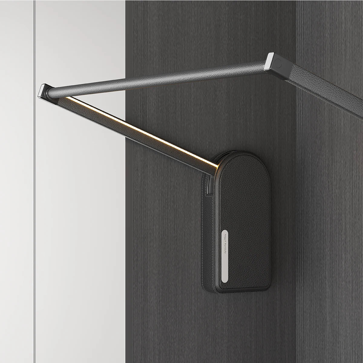 ODM OEM Hot Sell Electric Lift Hanger  Smart  Pull Down Shelf for Wardrobes Intelligent Lift Shelf of Wardrobes