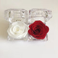 Eternal Rose Supplier  Preserved Flowers Ring Jewelry in Acrylic Box Roja for Girlfriend Wedding Floral Arrangements Roses