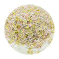 Polymer Clay Slice Cake Lemon Lime Strawberry Cherry Sprinkles Lovely Confetti for Crafts Making DIY