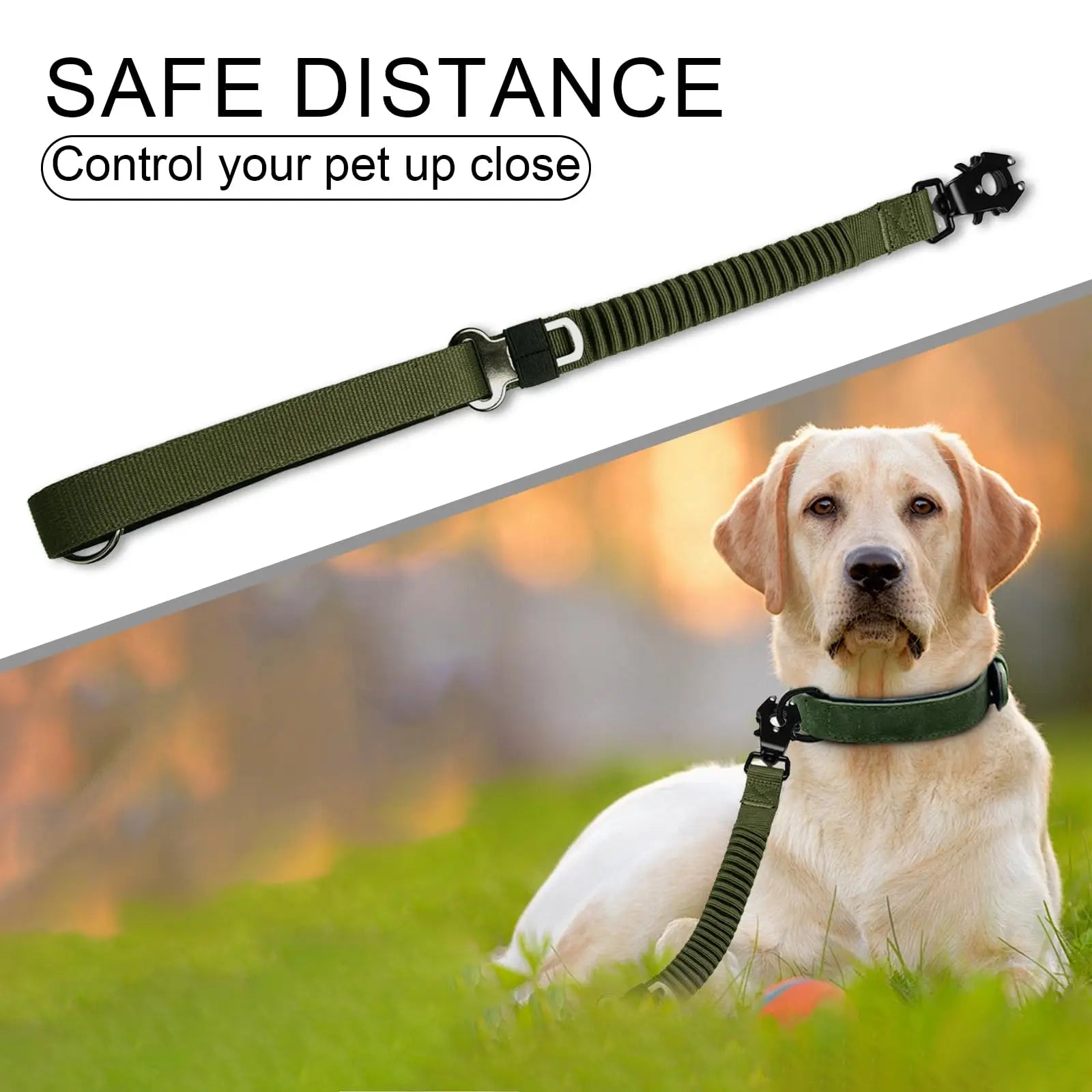 Elastic Bungee Rope Dog Leash with Aviation Aluminum Clip Soft Padded Handle Durable Adjustable Pet Training Leash