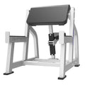 Musculation Biceps Triceps Machine JLC Fitness Gym Biceps Plate Loaded Machines Bench JLC-L658