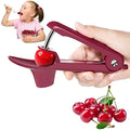 Manual Stainless Steel Removal Tool for Home Use Dry Jujube Orchard Management with Cherry Hawthorn Seed Removal Tool Made Metal