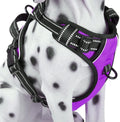 Adjustable Nylon Dog Harness Reflective No-Choke Oxford Soft Padded Vest 2 Leash Clips No-Pull Pet Harness Featuring Animal Free