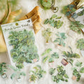 30 Pcs/Pack Mocard Pet Chalk Sticker Package Green Plant Collection Series Plant Hand Account DIY Decorative Stickers 6 Models