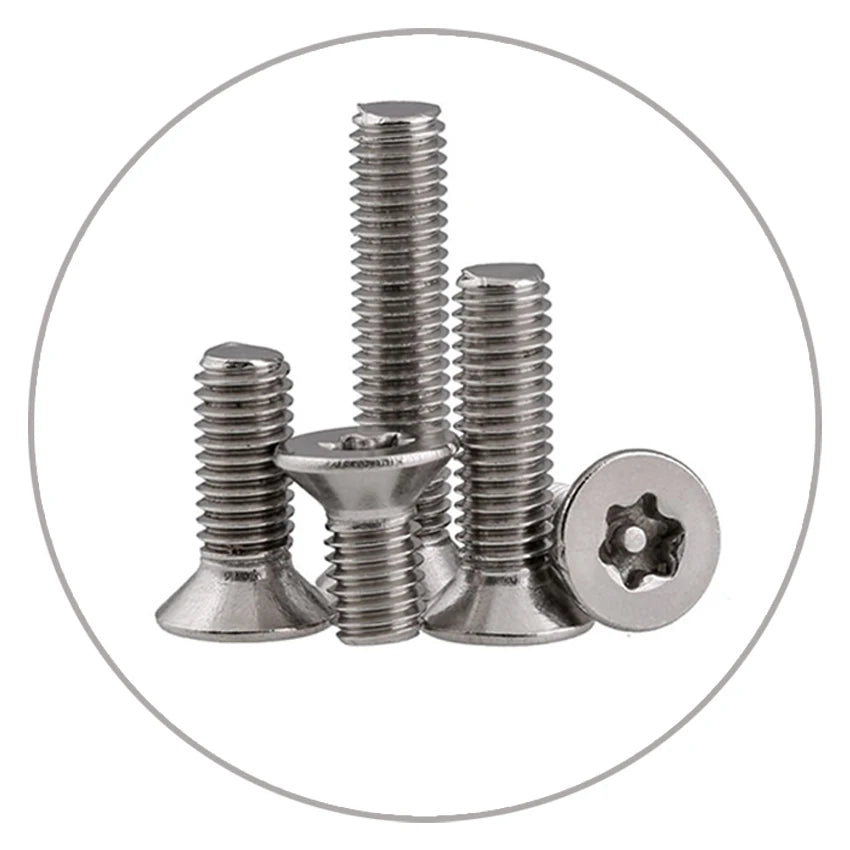 M2 M3 M4 M5M6 ISO14581 18-8 Stainless Steel Torx Star Shape Anti Theft Screw Torx-plus Countersunk Head Machine Screw with Holes