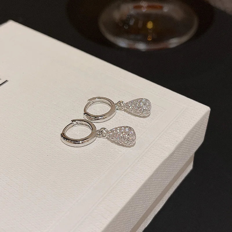 S925 Silver Pin Exquisite Micro-paved Zircon Earrings for Women Shiny Zircon Crystal Teardrop Stud Hook Earrings