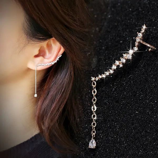 925 Sterling Silver Earrings Women's Earrings Women's Temperament Korean Fashion Jewelry