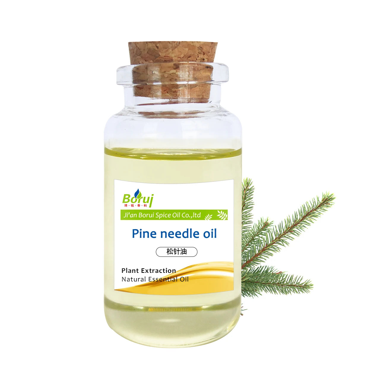 BORUI Wholesale Supply 100% Pure Natural Organic Pine Needle Essential Oil in Bulk