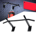 2023 Manufacturer Direct Sale Sport Body Building Home Gym Body Workout Wall Mounted Pull up Bar for Adult