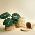Modern Vintage Style Bamboo Weaving Cement Flower Pots with Tray Chinese Design for Home Garden Decor for Shopping Mall Use