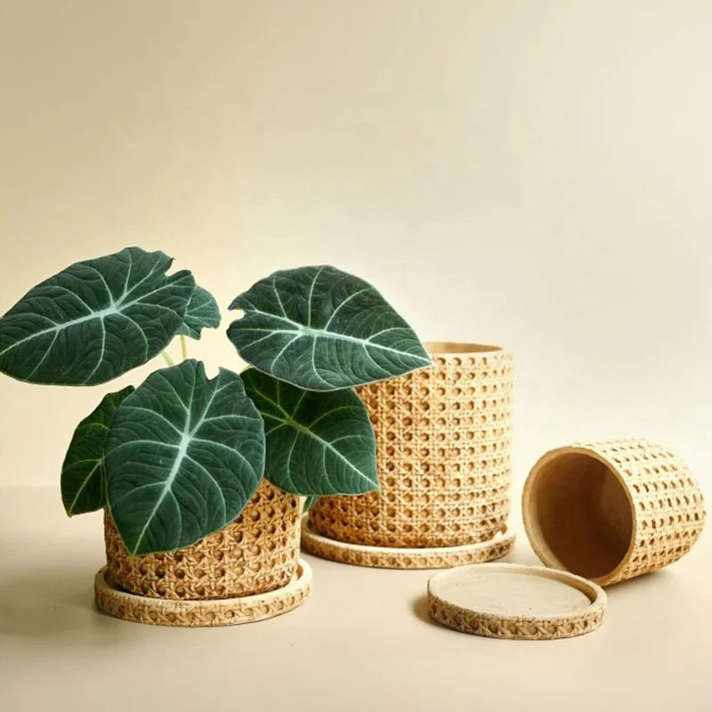 Modern Vintage Style Bamboo Weaving Cement Flower Pots with Tray Chinese Design for Home Garden Decor for Shopping Mall Use