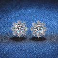 Wholesale Snow Design Grade D Moissanite Diamond Earrings 925 Sterling Silver 0.5ct/1ct Moissanite Stud Earrings