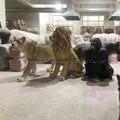 Hot Sale Outdoor Large Fiberglass Animal Cow Giraffe Elephant Garden Statue Molds