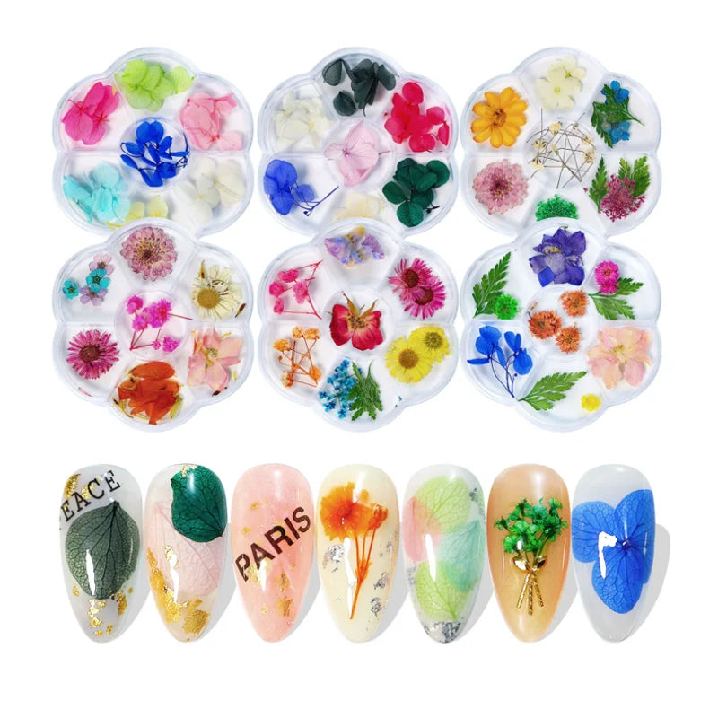 Mix-design Real Flowers Nail Charm Decoration Dried Flower Resin Craft 3D Nail Art Dry Flowers