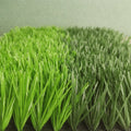 Cost-Effective Synthetic Sports Turf for Football Fields