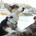 Hot Sale Camo Puppy Dog Nylon Chest Strap Reflective Dog Harness