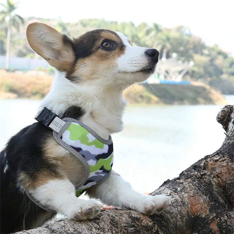 Hot Sale Camo Puppy Dog Nylon Chest Strap Reflective Dog Harness