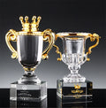 ADL New Elegant Metal Crystal Crown Trophy Glass Acrylic Awards Cups Crystal Employee Recognition Awards Team Work Award