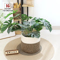 Natural Round  Jute Rope Plant Basket Woven Also Handmade Indoor Plants Pots Flower Pots and Planters Baskets for Plants