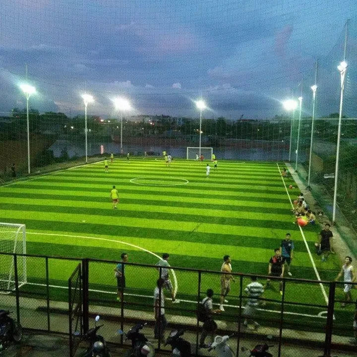 Professional Sport Synthetic Turf for Multi-Purpose Sports Field