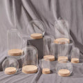 Hot Selling Wholesale Price Available Different Sizes Small Glass Dome with Cork Base
