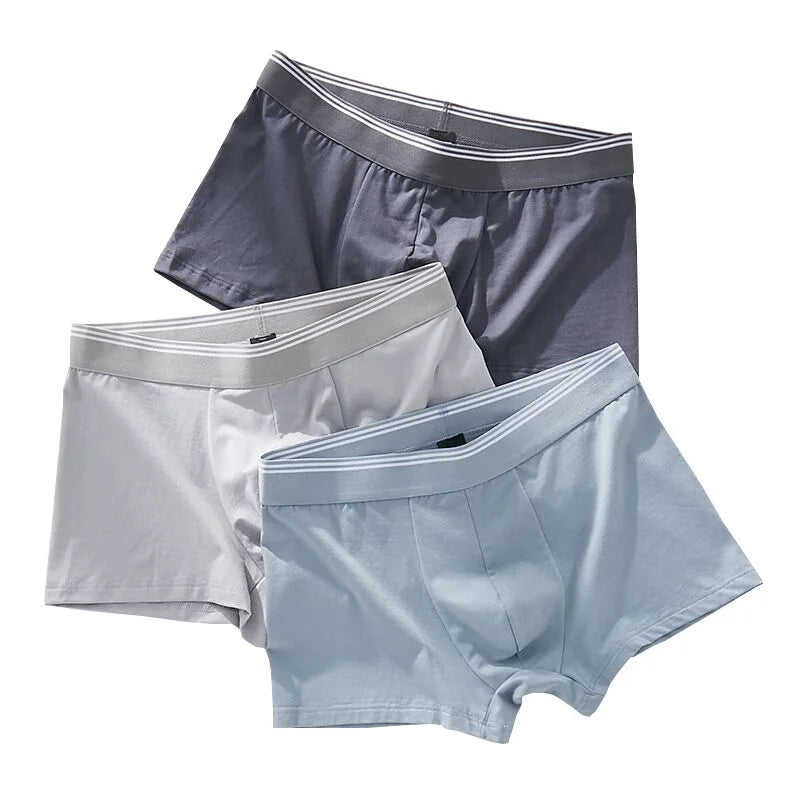 Men's Custom Logo Mid-Rise Nylon Boxer Briefs Breathable Knitted Fabric Underwear Logo Waist Quick Dry Eco-Friendly 4 Seasons