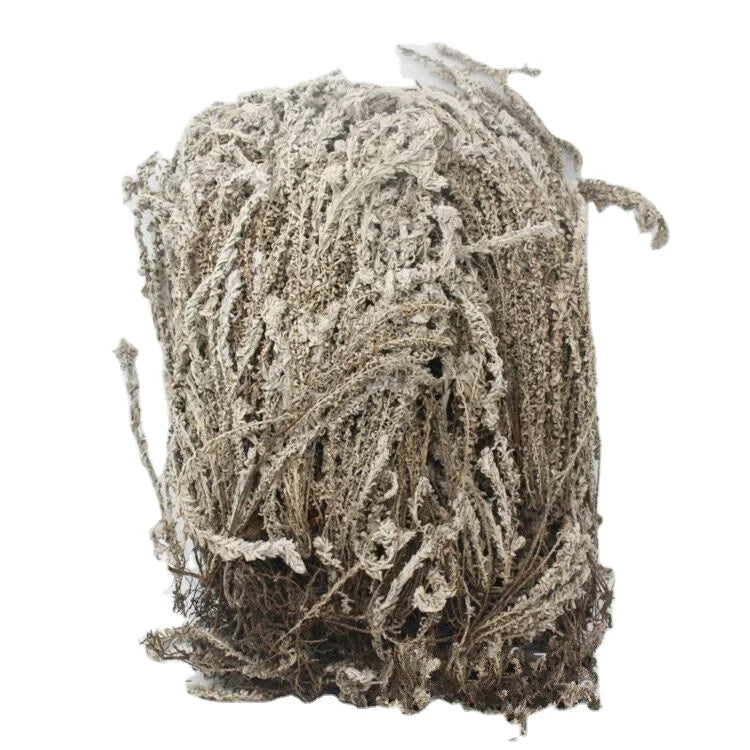 Lu Rong Cao Natural White Dried Wild Monochasma Sheareri Whole Plants for Herb Traditional